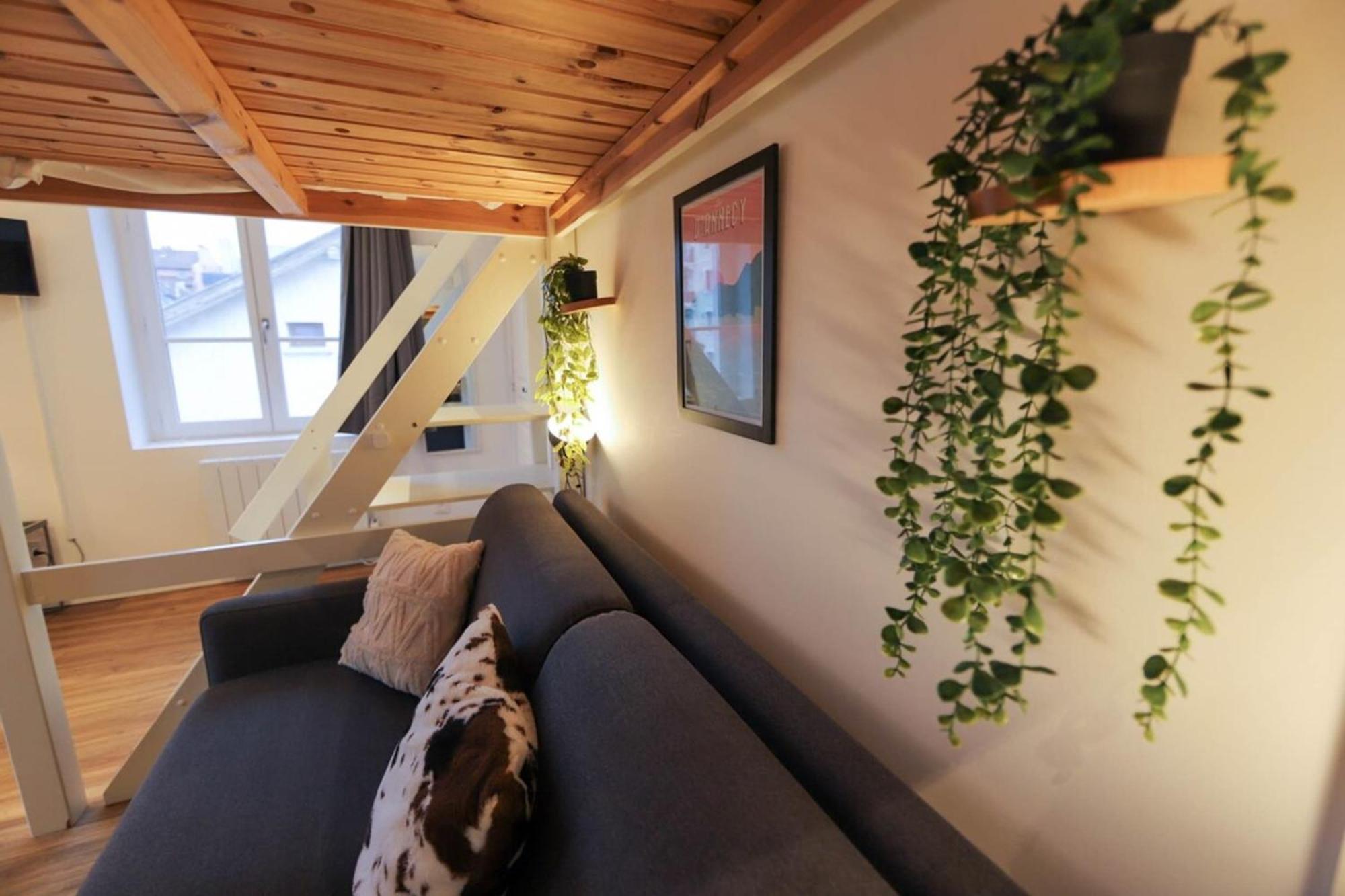 Le Petit Plus - Studio Confortable Avec Parking Annecy Exterior photo